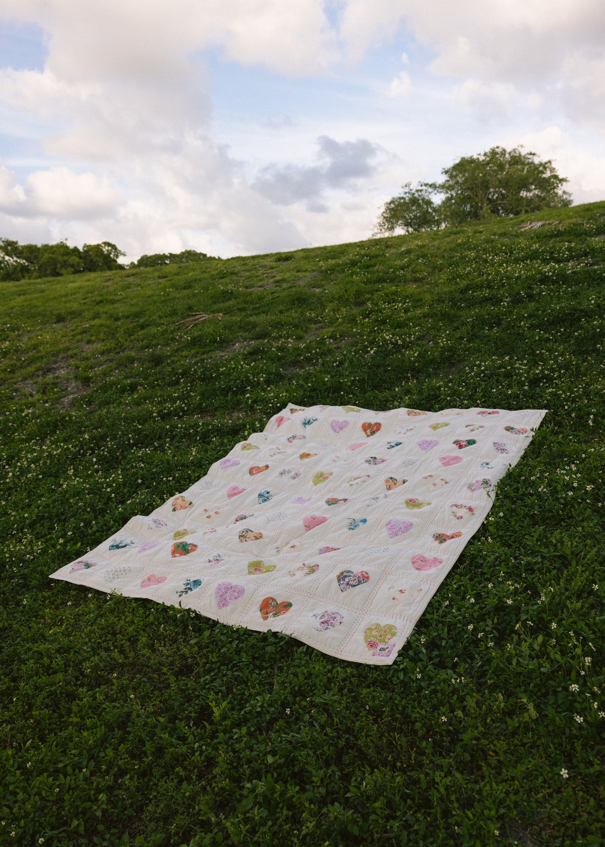 Heart-to-Heart Comforter